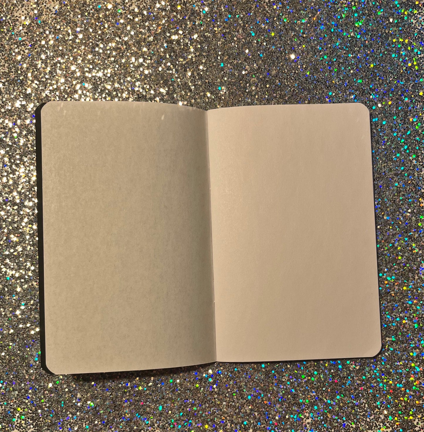 NOTEBOOK/JOURNAL: Maranatha - Come Lord Jesus